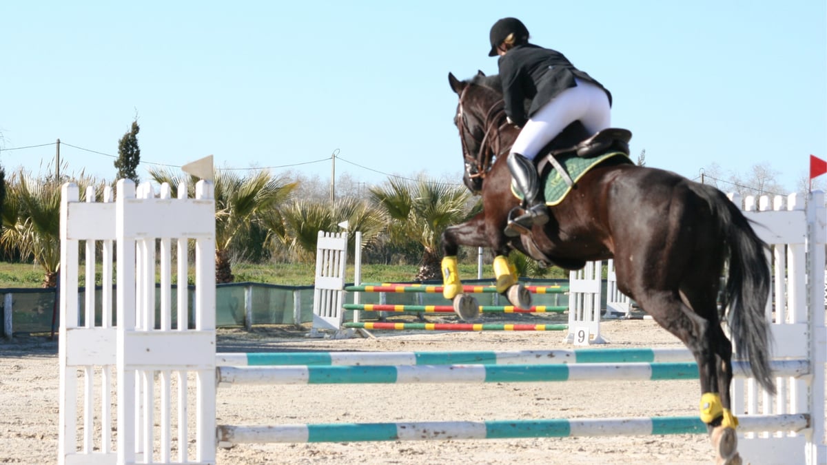 Horse Rider Anxiety Over Fences: What's Really Going On (And How to Fix It)