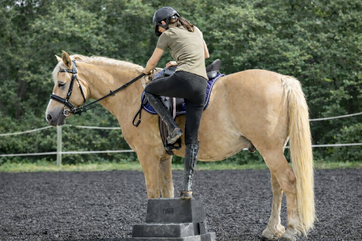 Setting the Tone: Why Your Session Starts at the Mounting Block