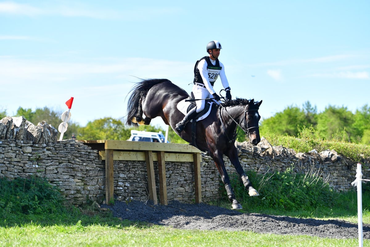 The Ideal Horse Test: The Simple Standard Every Horse Should Meet