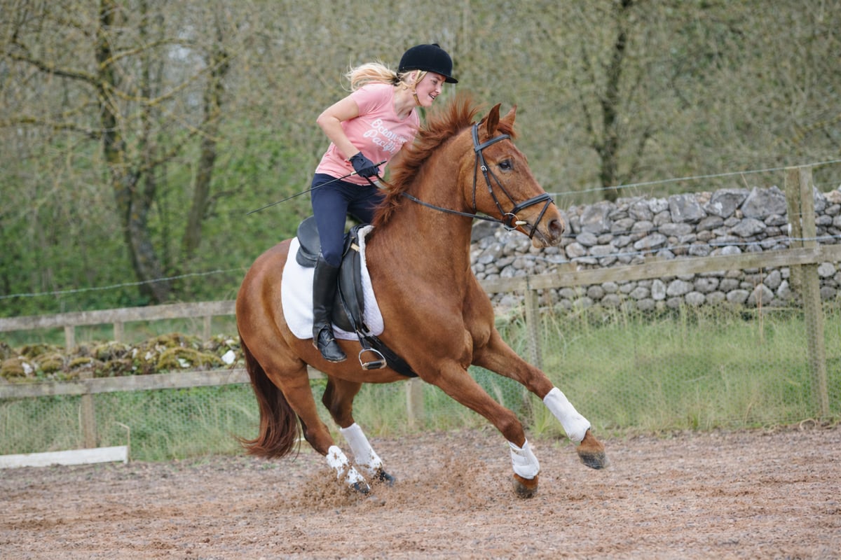Why Straightness is the Only Option for a Spooky Horse at a Fence