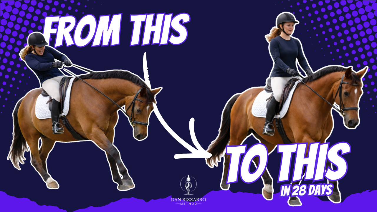 From Strong to Light and Soft audio course for horse riders