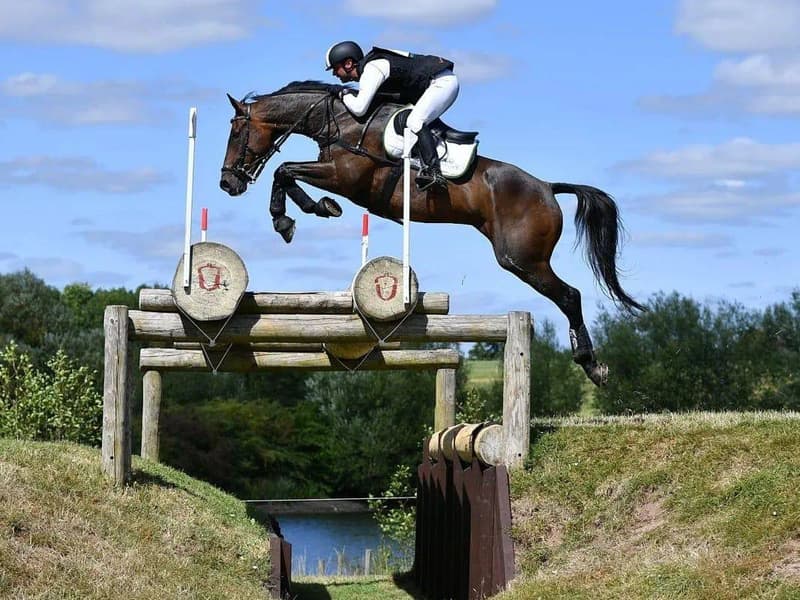 Dan Bizzarro jumping at Hartpury Open Championships cross country
