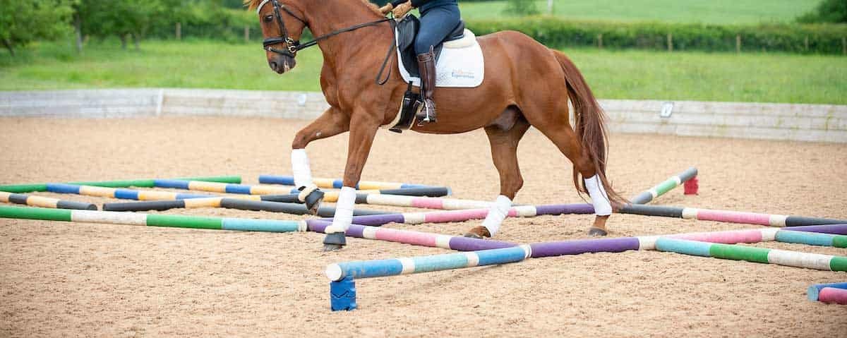 Colorful polework training with horse and rider in Oxfordshire arena