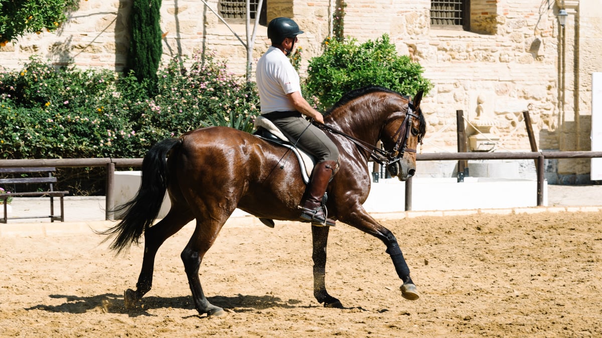 Why Transitions Fix Almost Every Training Problem