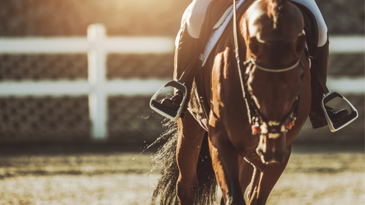 Why "No Contact" Might Be the Missing Piece in Your Training