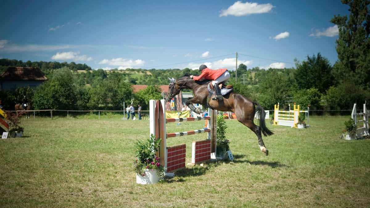 How to Ride a Line and Count Strides (Even If You're Nervous or New to Jumping)
