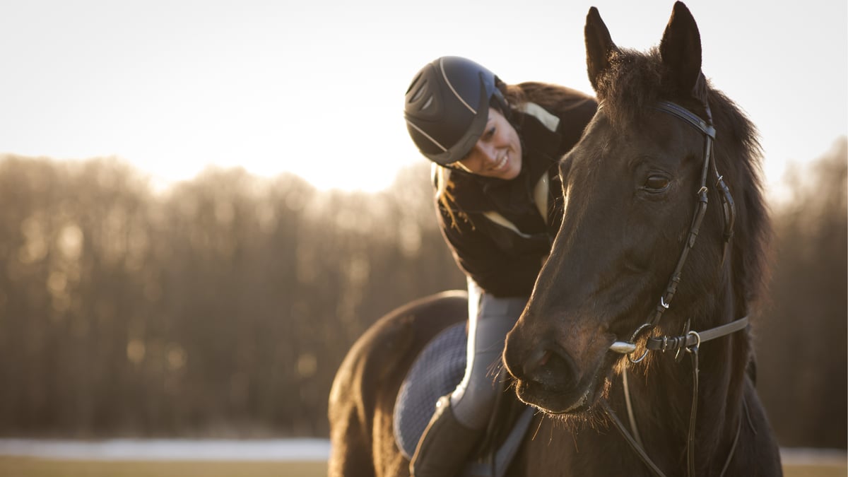 Why Your Horse Naps, Plants, or Spins — And How to Give Them Confidence Again